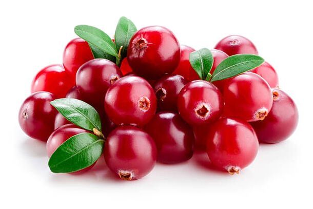 Gentile Rosso à Prostovit