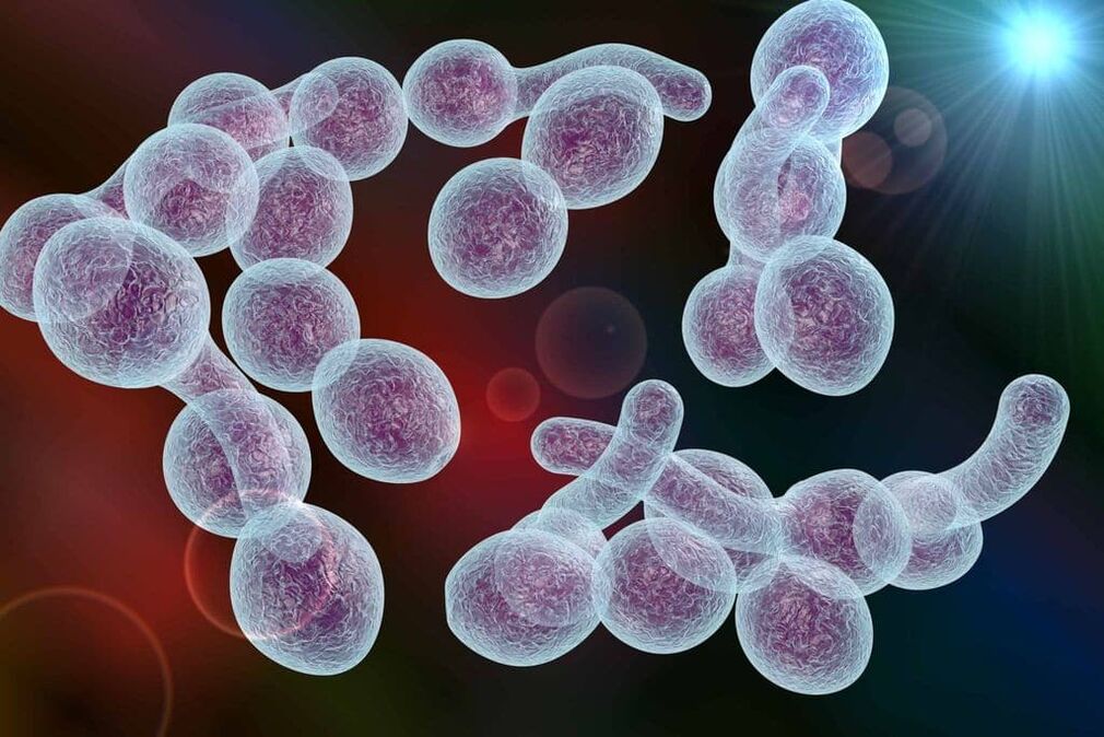 L'agent causal de la prostatite bactérienne chez l'homme