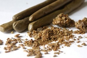 Suppositoires de propolis utilisés pour traiter la prostatite