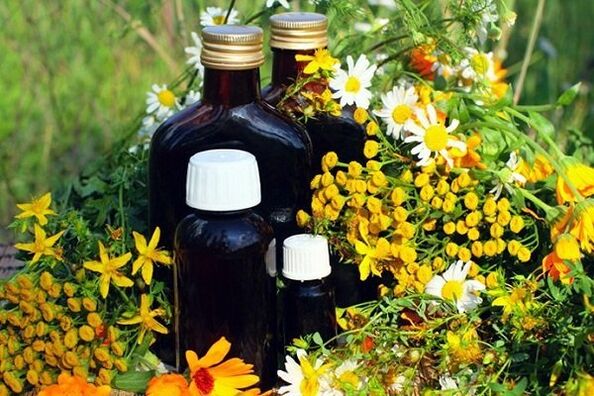 Teintures à base de plantes pour la prostatite
